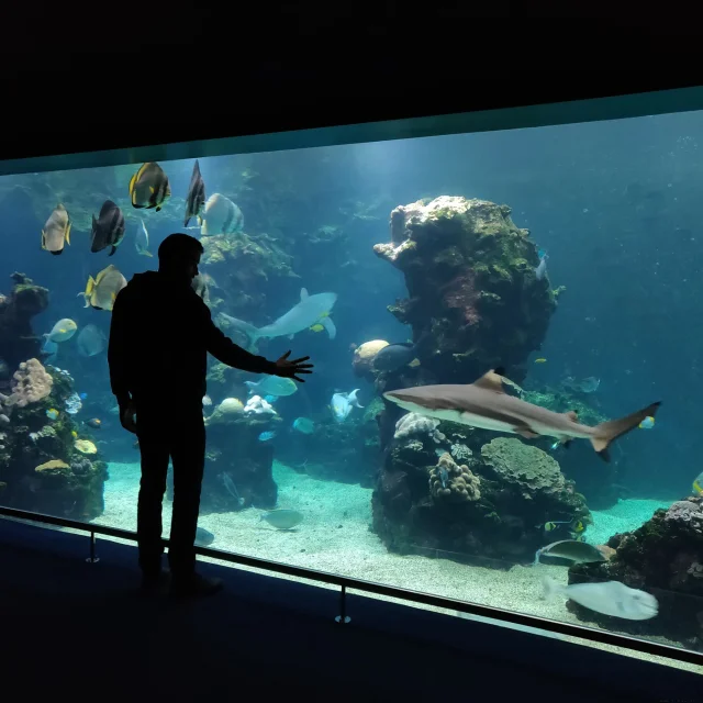 Visite Aquarium de Nouméa