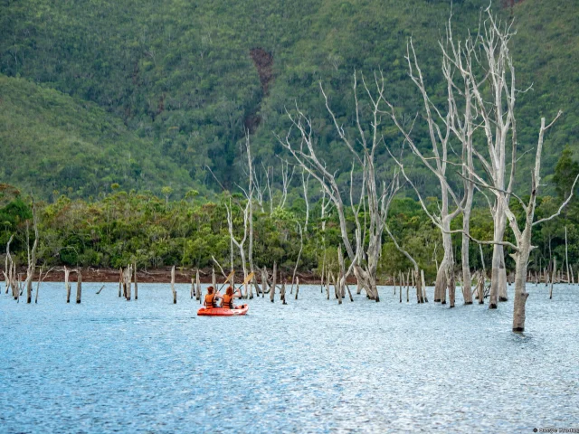 Kayak dans la forêt noyée - Parc de la Rivière Bleue - Grand Sud