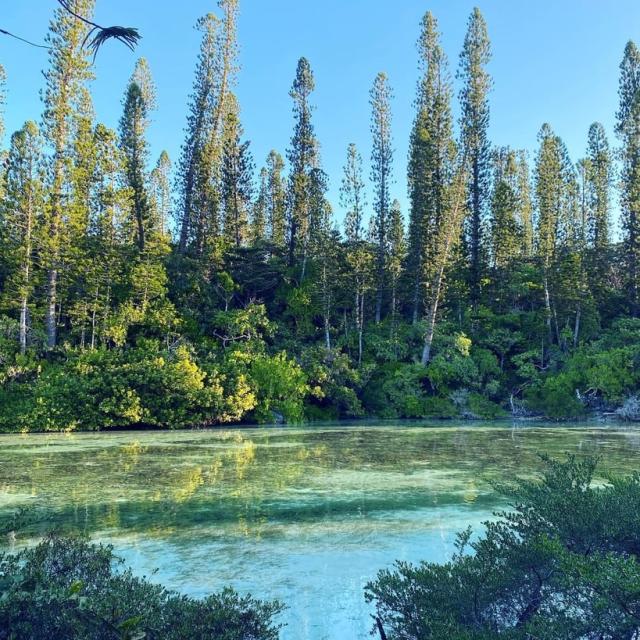 Instagram #newcaledonia