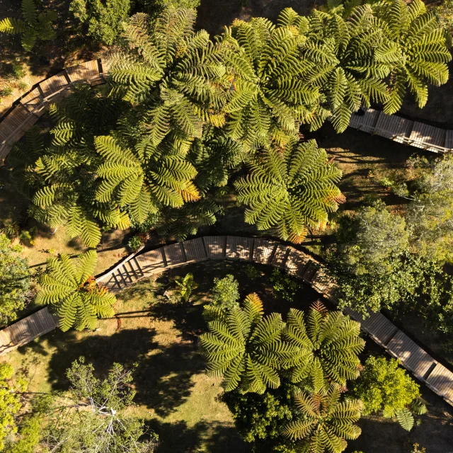 Jardin Botanique Parc Provincial Des Grandes Afougeres Charlotte Bertonneau Patrice Hauser 93 1 1