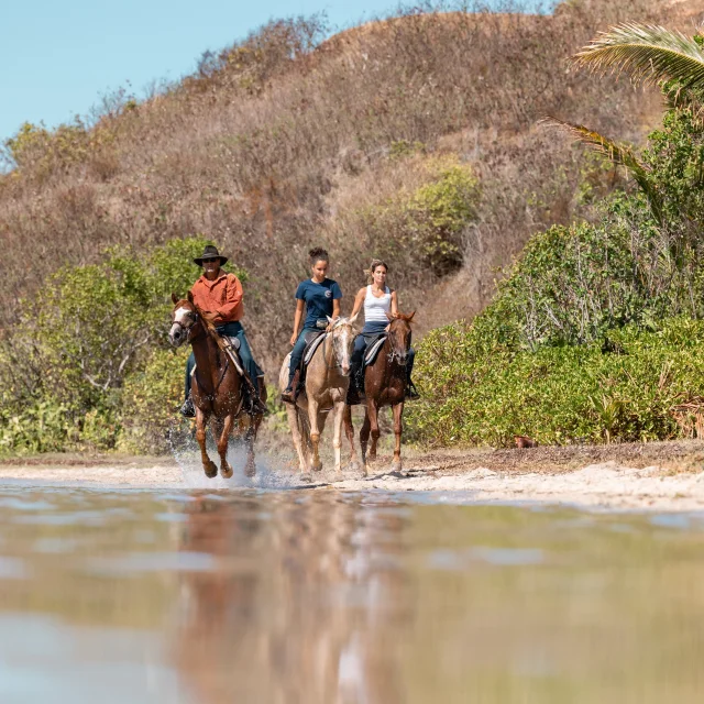 VAQUEROS_2_CHARLOTTE-BERTONNEAU-5331.jpg