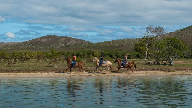 Vaqueros Rando