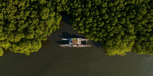 Shot aérien de la mangrove avec un bateau