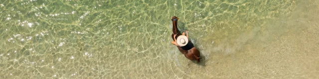 Shot aérien d'une femme à dos de cheval, dans la mer