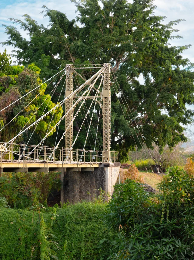 Passerelle Marguerite Charlotte Bertonneau 1561