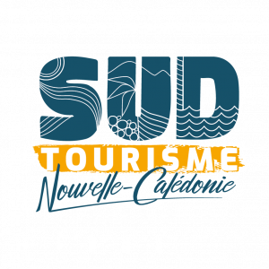 Sud Tourisme Logo Cmyn Vertical